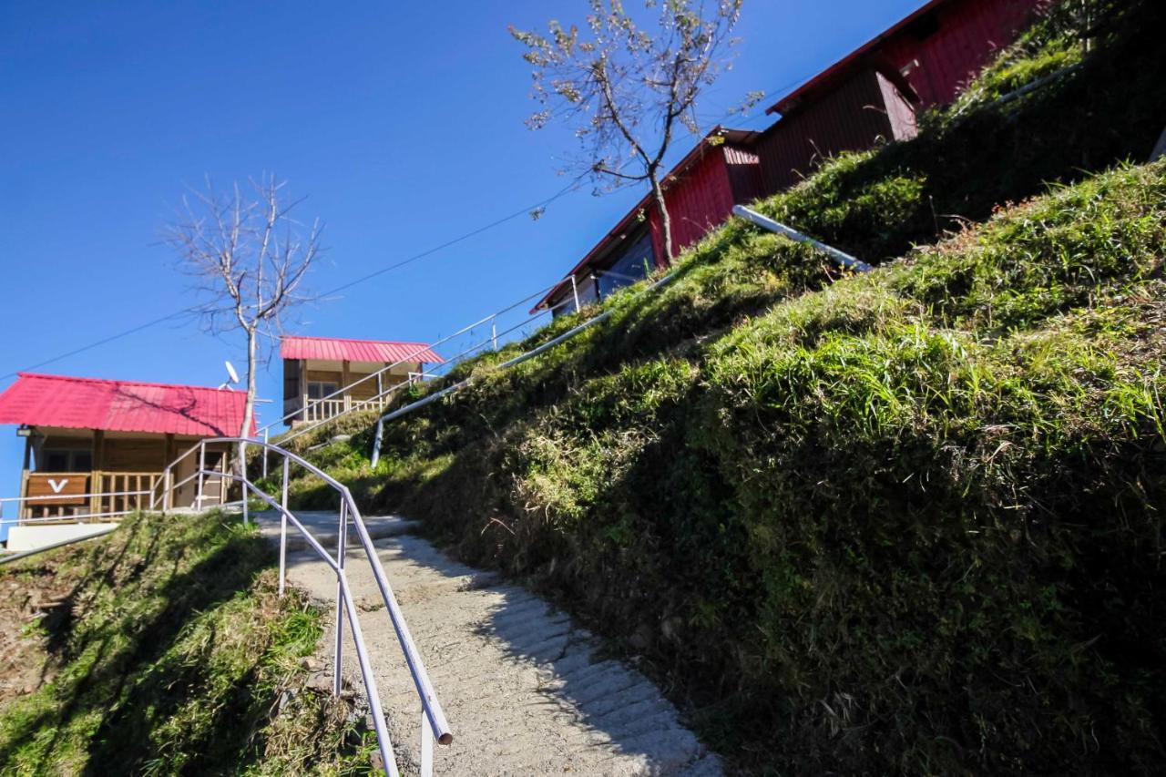 Glamwood Resort Dhanaulti, Ranked 1 In Dhanaulti Buitenkant foto